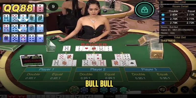 bull bull