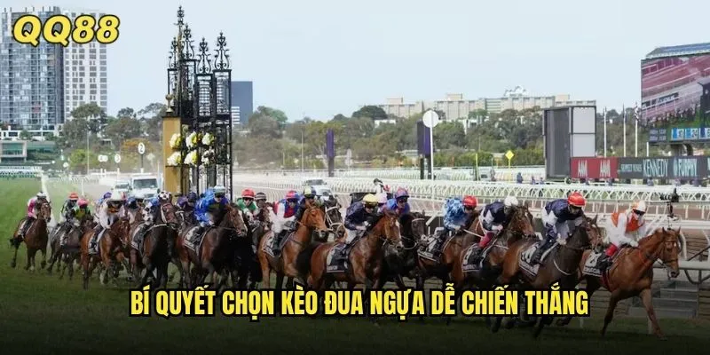 Kèo Đua Ngựa QQ88 Trải Nghiệm Mới Lạ Tỷ Lệ Thắng Cực Cao 3 Bí quyết chọn kèo đua ngựa dễ chiến thắng